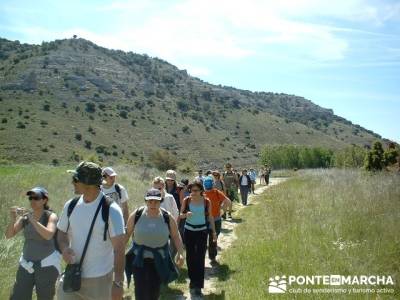 Sierra de la Pela - Barranco de Borbocid; excursiones organizadas; Gratis senderismo